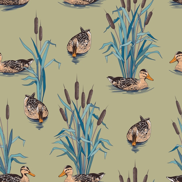 Bulrushes and wild ducks Hand drawn colored seamless pattern Vector vintage  illustration