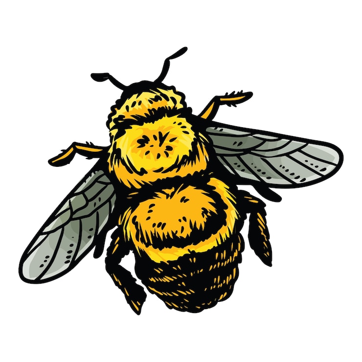 Vector bumble bee cartoon icon insect outline comic style image hand drawn isolated lineart illustration for prints designs cards web mobile