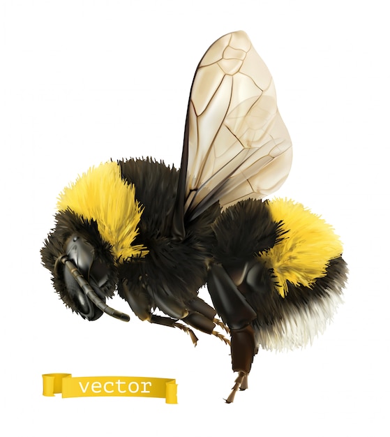 Vector bumblebee. 3d realistic