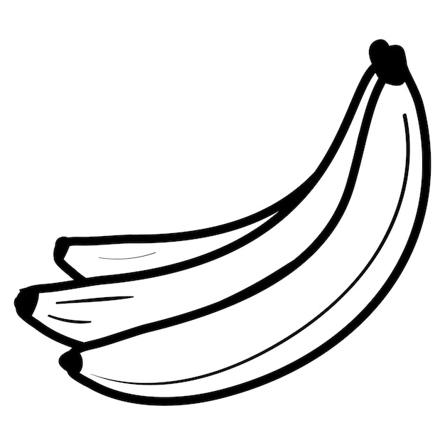 바나나 과일의 무리