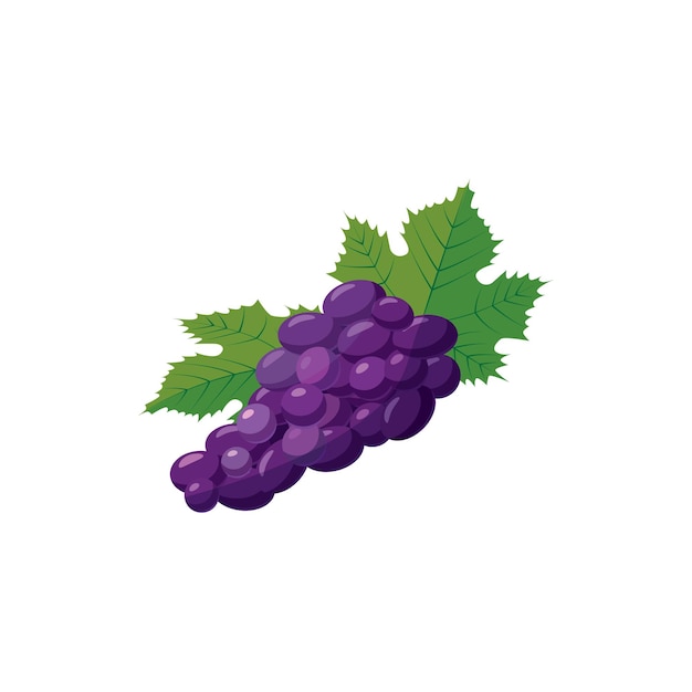 Bunch of blue grapes icon in cartoon style on a white background
