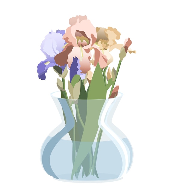 Bunch of blue, pink and yellow irises in round glass vase. Isolated on white background