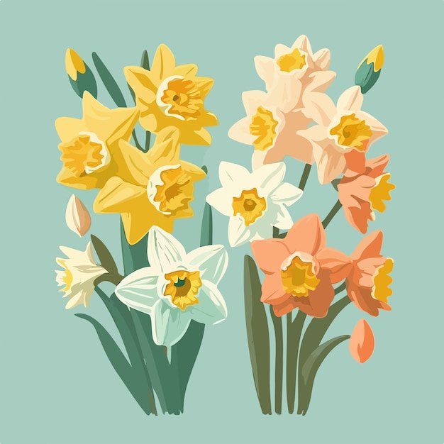 Vector a bunch of daffodils with yellow and white flowers on a blue background.