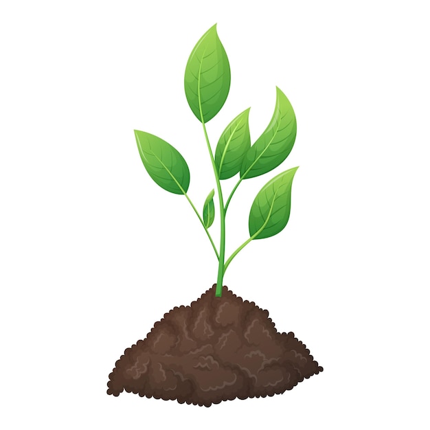 A bunch of fertile black soil and growing green plant sprout with leaves The concept of gardening and sowing Vector isolated cartoon illustration