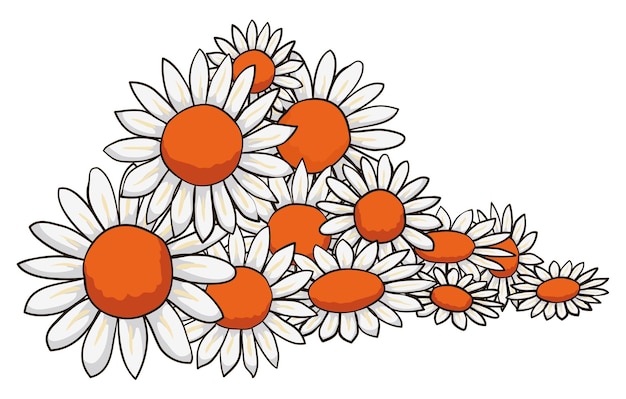 Bunch of flowers in cartoon style with white petals and orange floret disks on white background