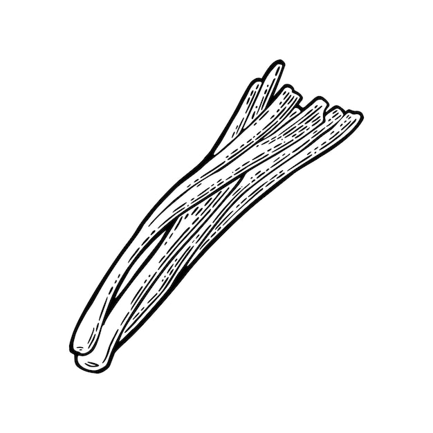 新鮮な茎のタマネギの束メニューポスターラベルのベクトル黒ヴィンテージ彫刻イラストです