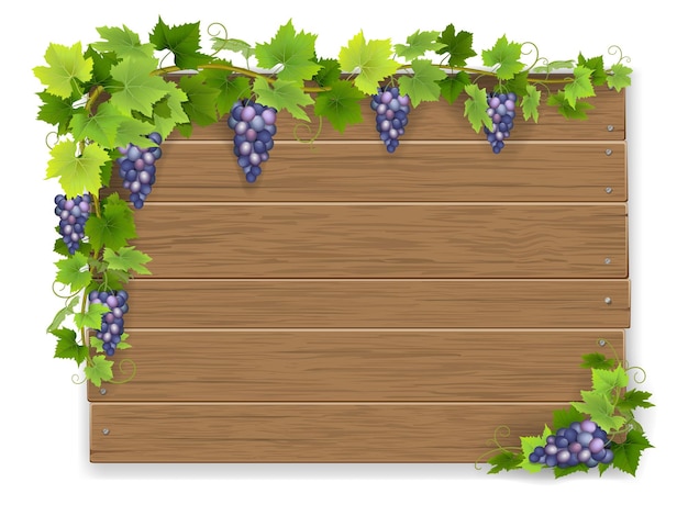 Vector bunch grapes on wooden sign background
