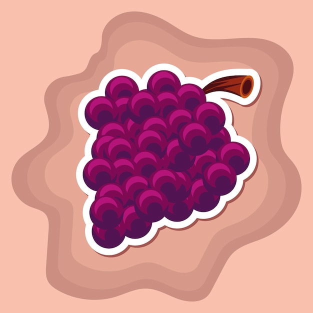 Vector bunch of grapes