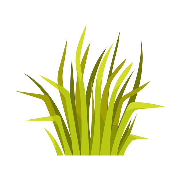 Vector bunch of grass with thin long leaves vector illustration on a white background