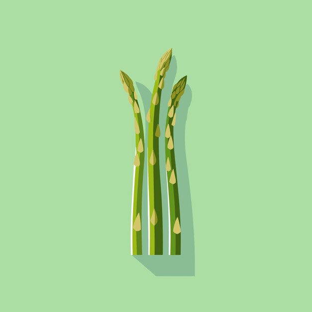 A bunch of green asparagus on a green background