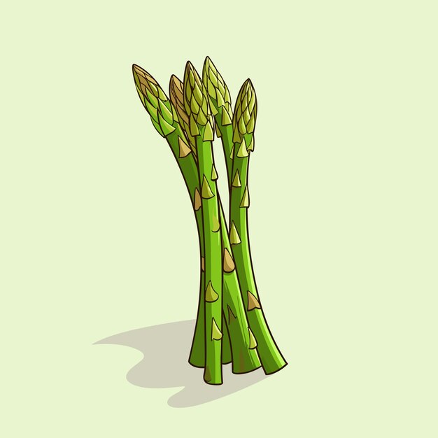 Vector a bunch of green asparagus on a light green background