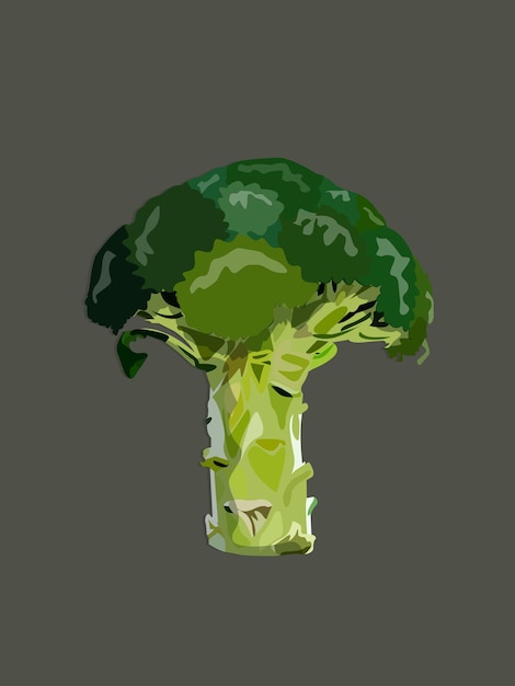 Bunch of green broccoli vegetable with shadows and highlights