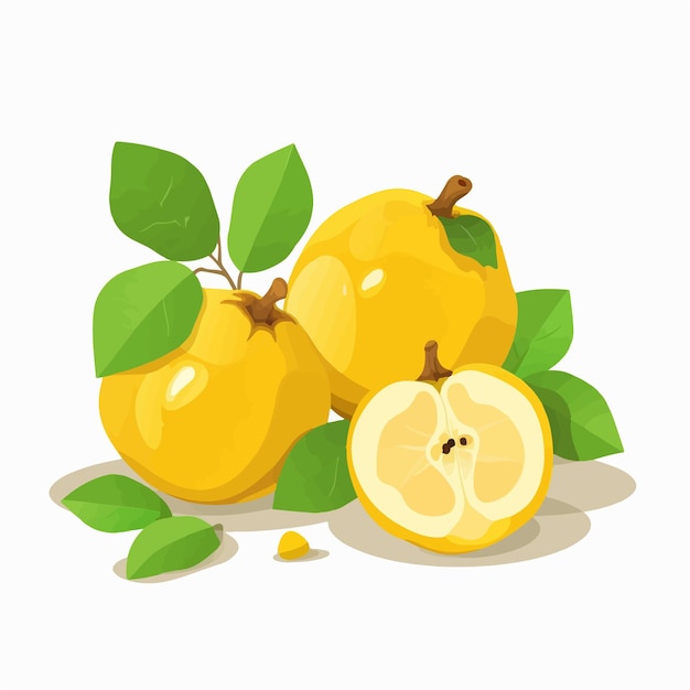 A bunch of lemons with leaves and a lemon on a white background