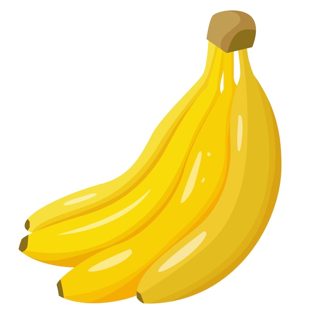 Un mazzo di banane mature. vettore