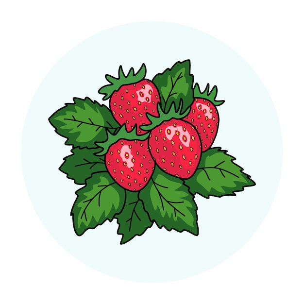 Bunch of ripe strawberries with leaves