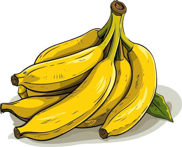 Букет спелых желтых бананов на белом фоне. Векторное цветное изображение.