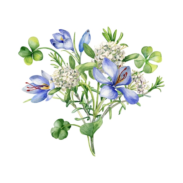 Bunch of spring flowers watercolor illustration isolated on white Painted green clover and blue white flowers Irish lucky symbol hand drawn Design for StPatricks day postcard Easter card