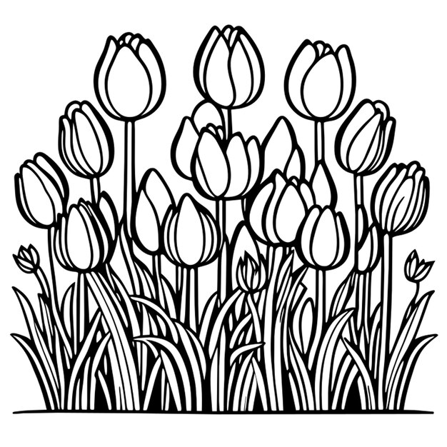 Vector a bunch of tulips in a field for a coloring book vector illustration