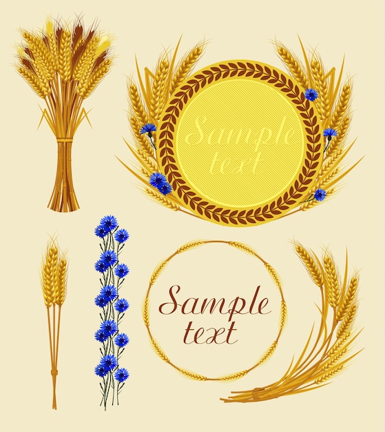 Bunch of wheat frame with wheat and cornflowers Vector illustration