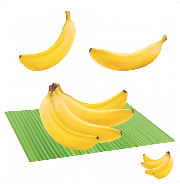 Mazzi di frutti di banana freschi isolati