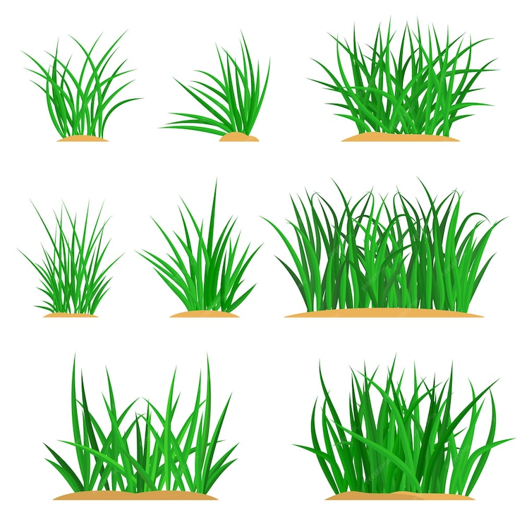 Premium Vector | Bunches of green grass on an earthen mound. design of ...