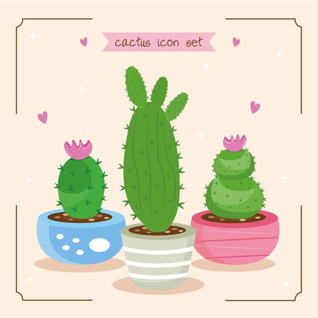 Bundel van drie cactusplanten en belettering decorontwerp pictogrammen illustratie