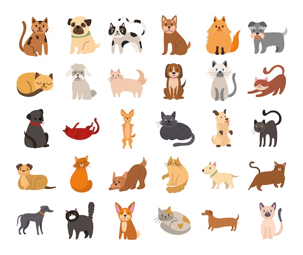 Vector bundel van katten en honden icon set