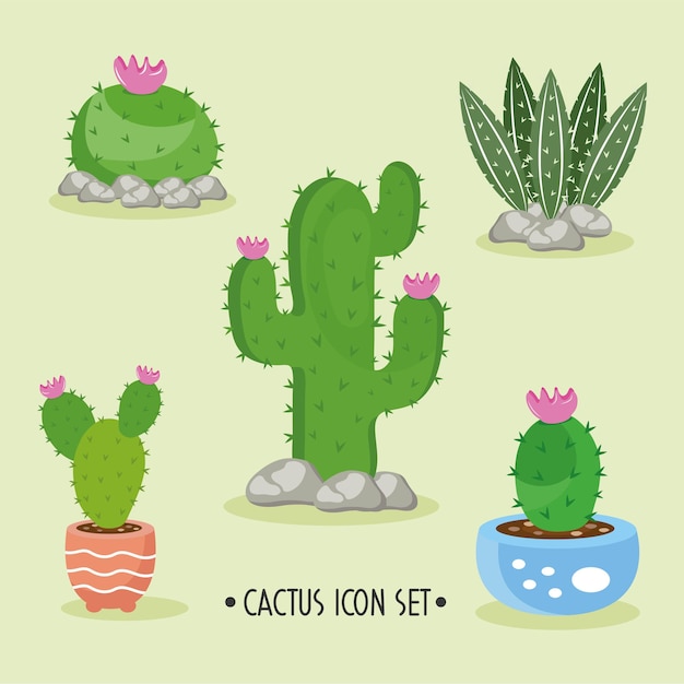 Bundel van vijf cactusplanten en belettering decorontwerp pictogrammen illustratie