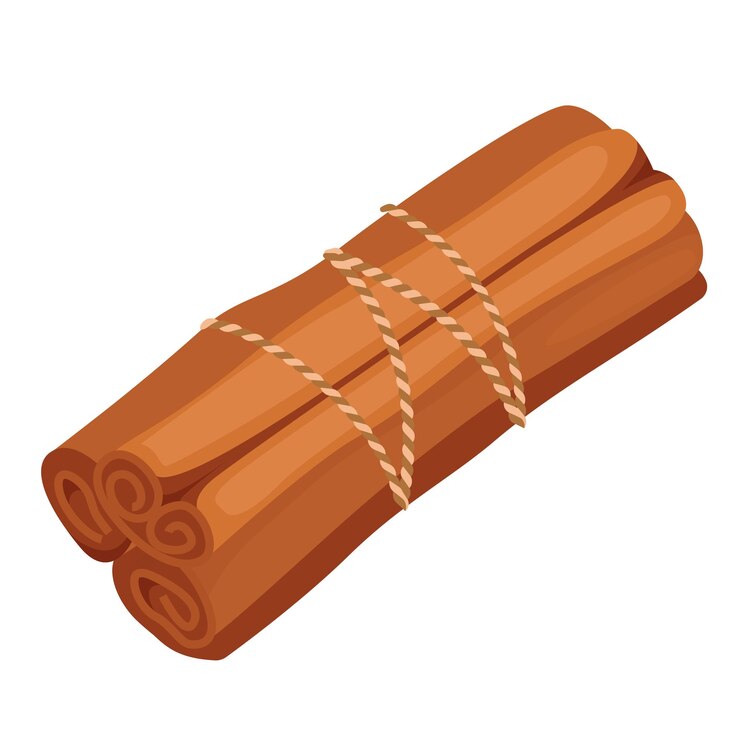 Vector bundle of cinnamon sticks spice cooking and baking seasoning aromatic condiment canella stick vector