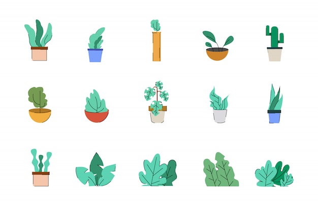 Vector bundle of colored plants