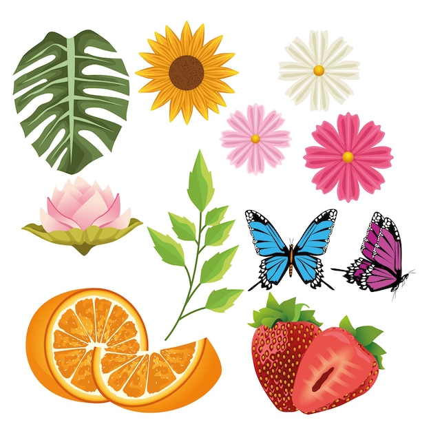 Bundle of flowers and fruits with butterflies.