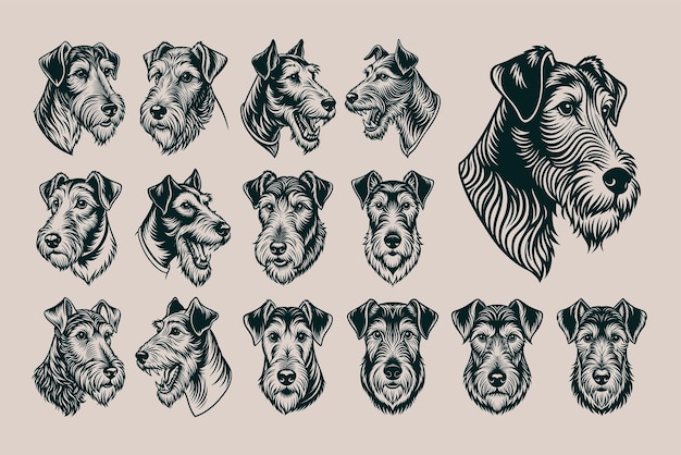 Bundle of hand drawn airedale terrier dog head design vector