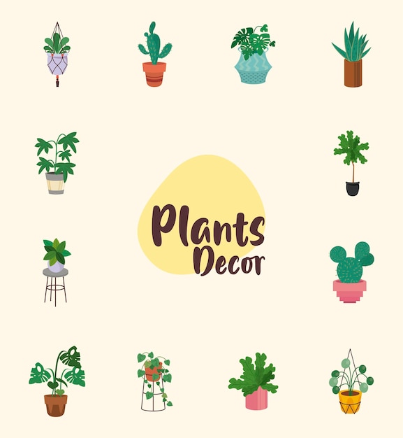 Bundle of home plants in ceramic pots decor and lettering