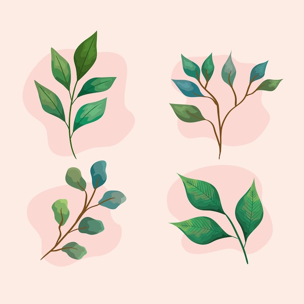 Bundle of leaves four and branches icons set