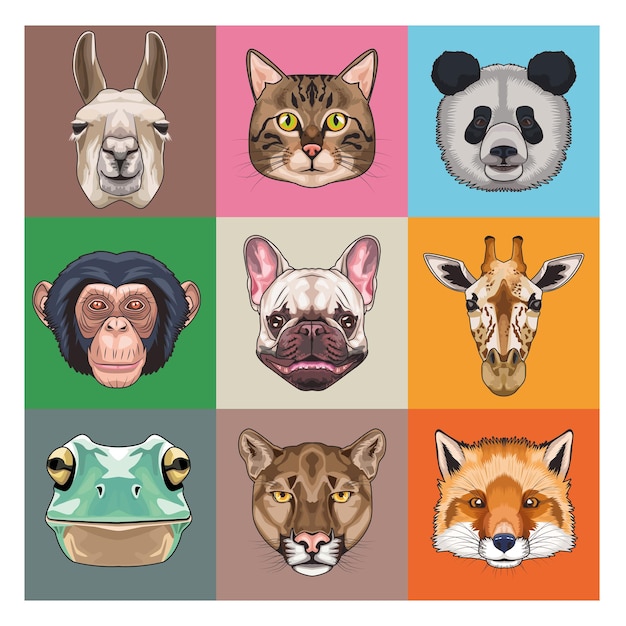 Vector bundle of nine animals domestics and wild icons  illustration