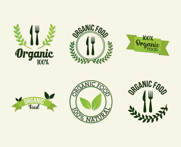 Vector bundle of organic food lettering on white illustration design