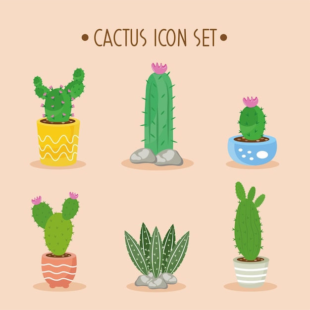 Fascio di sei piante di cactus e scritte impostare icone illustrazione design