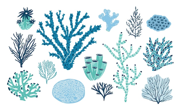 Fascio di vari coralli e alghe o alghe isolati su sfondo bianco. insieme di specie sottomarine blu e verdi, creature marine, flora e fauna marina o oceanica. piatto colorato illustrazione vettoriale