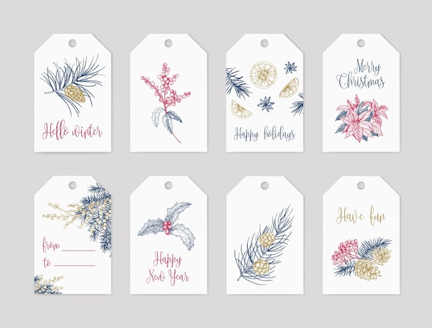 Vector bundle of winter holiday label or tag templates decorated with seasonal plants hand drawn with contour lines on white space and festive lettering