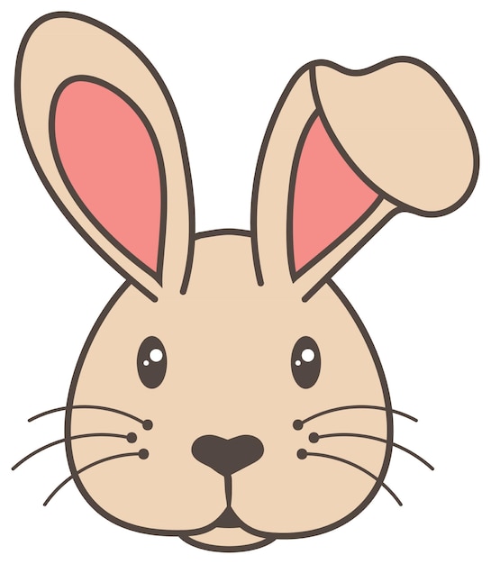 Bunny animal illustration
