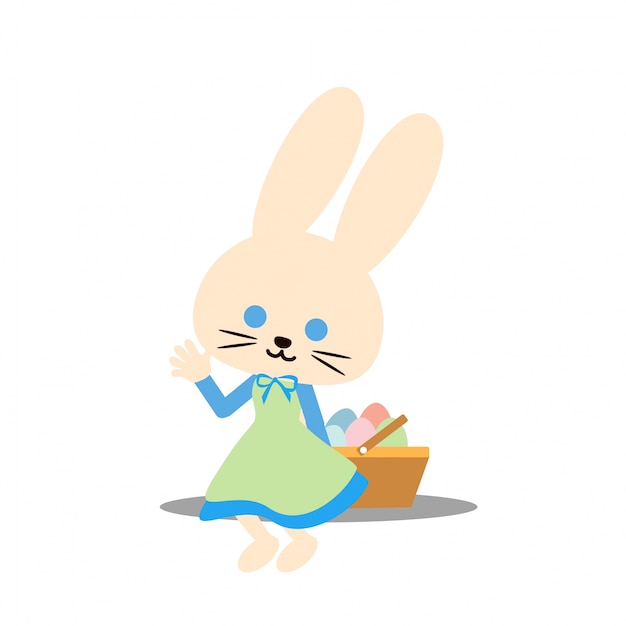 Bunny costume character