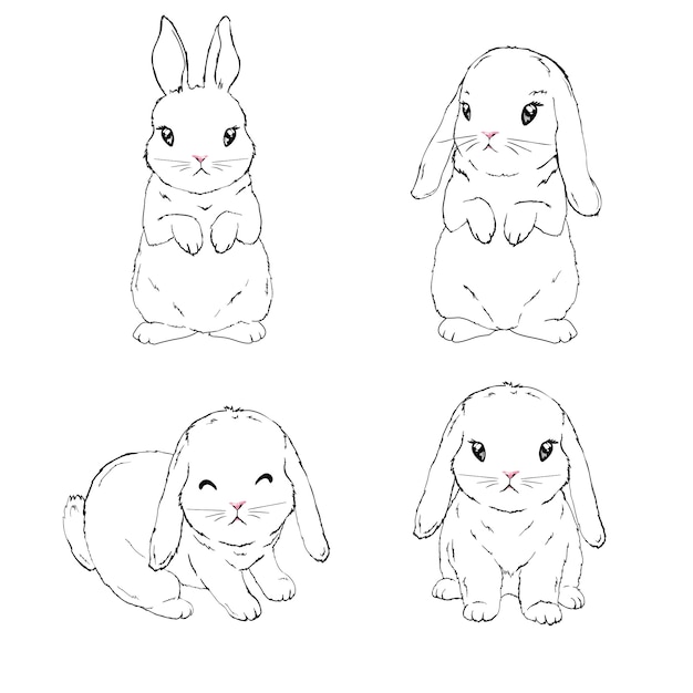 Bunny, rabbit.