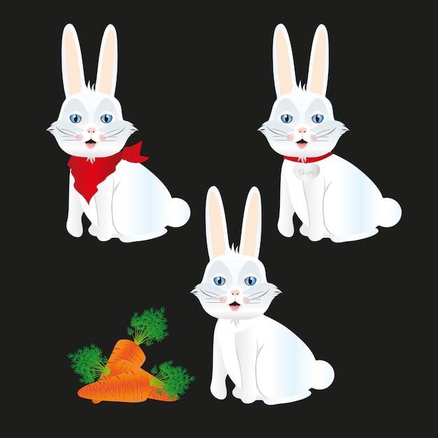 Bunny with different accessories