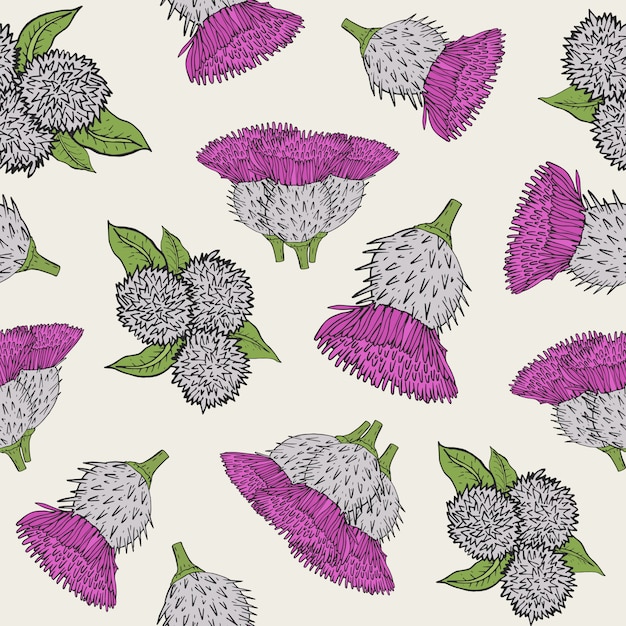 Burdock seamless texture with hand drawn buds. colorful   illustration pattern.