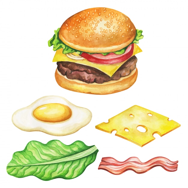 Burger ingredients watercolor.