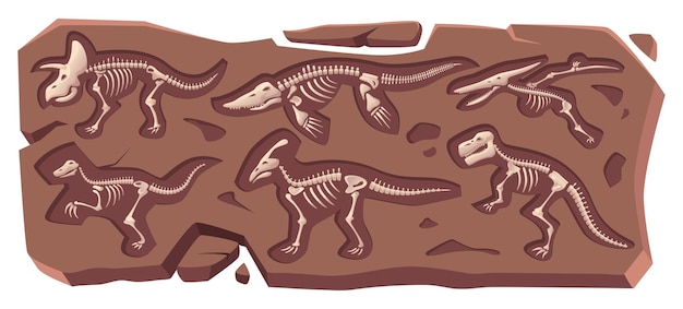Вектор Погребенный скелет динозавра, древняя морская рептилия, окаменевшая в каменных старых костях, коллекция точных векторных мультфильмов