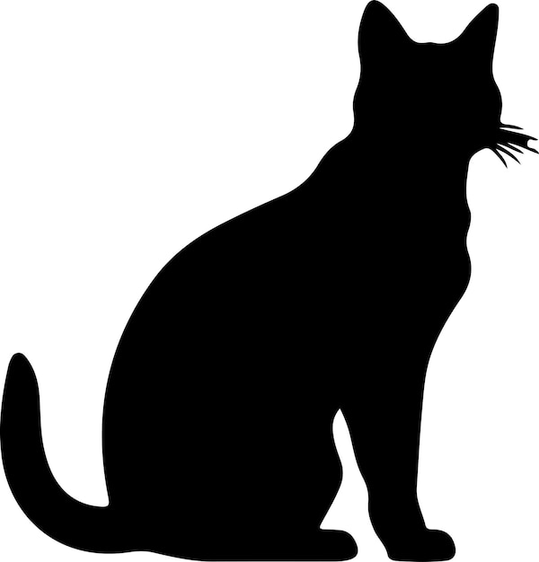 Burmese Cat black silhouette with transparent background