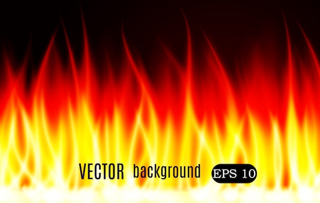 Vector burn flame fire background