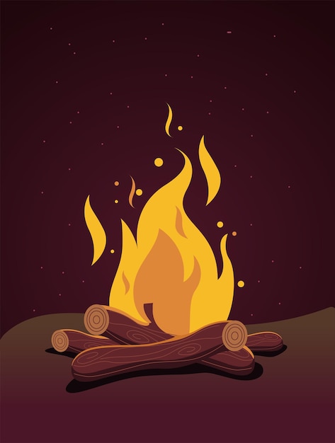 burning bon fire in night vector material