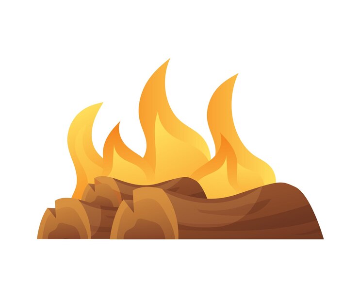 वेक्टर burning bonfire with wood vector illustration